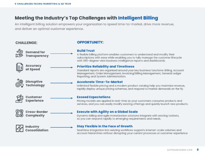 6-challenges-facing-advertising-technology_Page_09
